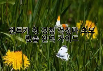 🚗 렌트카 첫 경험? 걱정마! 초보 맞춤 완벽 가이드 ✨