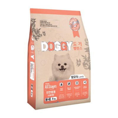 우리 댕댕이 🐶 밥! 소형견 사료 솔직 후기 & 꿀팁 대방출! (할인정보🎁)