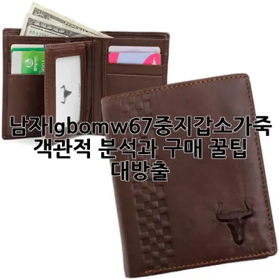 남자lgbomw67중지갑소가죽: 객관적 분석과 구매 꿀팁 대방출