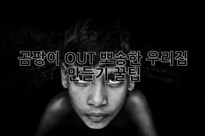 🏠 곰팡이 OUT! 뽀송한 우리집 만들기 꿀팁 💯