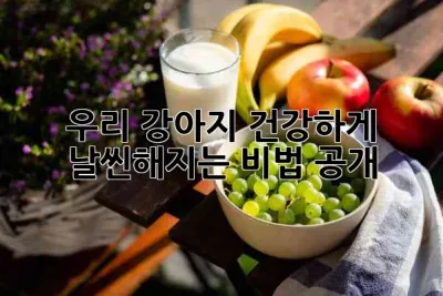 우리 강아지, 건강하게 날씬해지는 비법 공개! 🐶✨