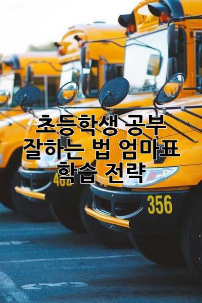 초등학생 공부 잘하는 법: 엄마표 학습 전략