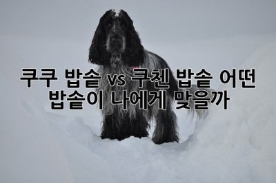 쿠쿠 밥솥 vs 쿠첸 밥솥: 어떤 밥솥이 나에게 맞을까?