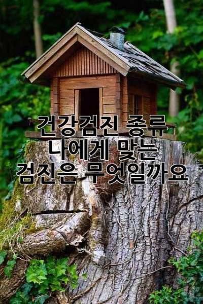 건강검진 종류: 나에게 맞는 검진은 무엇일까요?