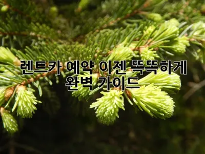 렌트카 예약, 이젠 똑똑하게! 완벽 가이드