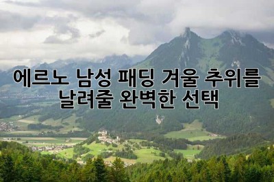에르노 남성 패딩: 겨울 추위를 날려줄 완벽한 선택