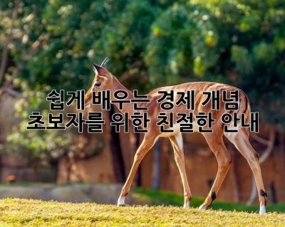 쉽게 배우는 경제 개념: 초보자를 위한 친절한 안내