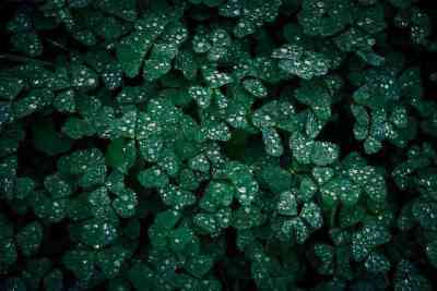 이사 후, 소음 걱정 끝!  조용한 새 보금자리 만들기